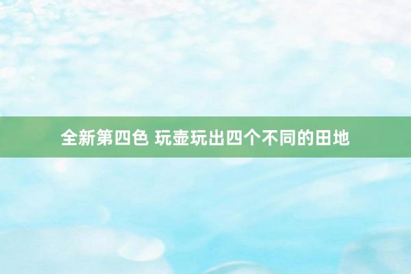 全新第四色 玩壶玩出四个不同的田地