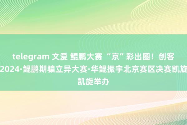 telegram 文爱 鲲鹏大赛 “京”彩出圈！创客北京2024·鲲鹏期骗立异大赛·华鲲振宇北京赛区决赛凯旋举办