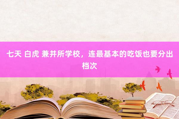 七天 白虎 兼并所学校，连最基本的吃饭也要分出档次