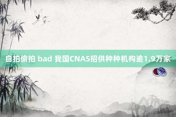 自拍偷拍 bad 我国CNAS招供种种机构逾1.9万家