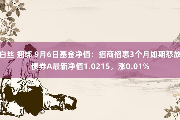 白丝 捆绑 9月6日基金净值：招商招惠3个月如期怒放债券A最新净值1.0215，涨0.01%