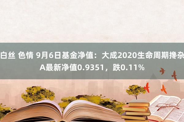 白丝 色情 9月6日基金净值：大成2020生命周期搀杂A最新净值0.9351，跌0.11%