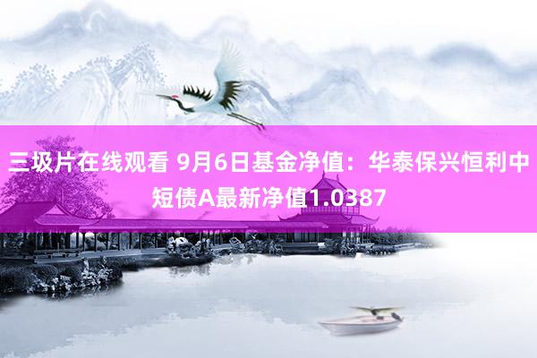 三圾片在线观看 9月6日基金净值：华泰保兴恒利中短债A最新净值1.0387