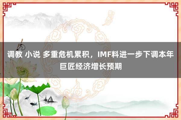 调教 小说 多重危机累积，IMF料进一步下调本年巨匠经济增长预期