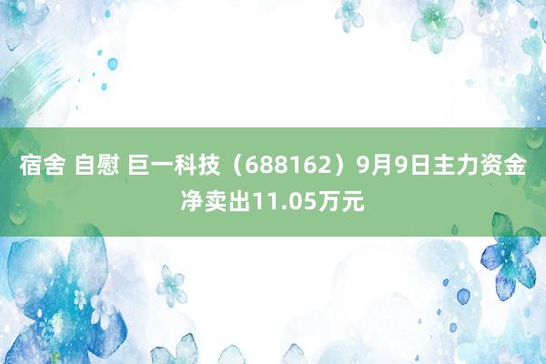 宿舍 自慰 巨一科技（688162）9月9日主力资金净卖出11.05万元