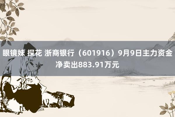 眼镜妹 探花 浙商银行（601916）9月9日主力资金净卖出883.91万元