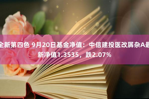 全新第四色 9月20日基金净值：中信建投医改羼杂A最新净值1.3535，跌2.07%