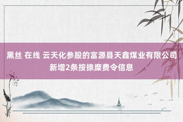 黑丝 在线 云天化参股的富源县天鑫煤业有限公司新增2条按捺糜费令信息