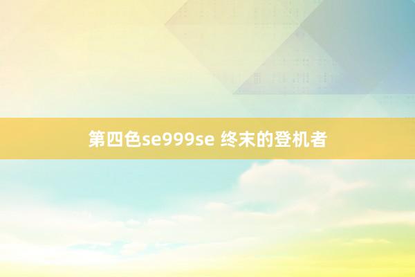 第四色se999se 终末的登机者