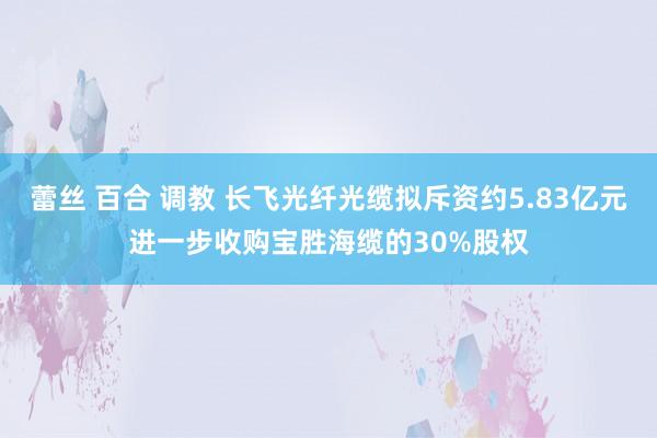 蕾丝 百合 调教 长飞光纤光缆拟斥资约5.83亿元进一步收购宝胜海缆的30%股权