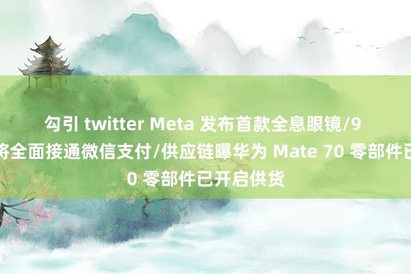 勾引 twitter Meta 发布首款全息眼镜/9 月底淘宝将全面接通微信支付/供应链曝华为 Mate 70 零部件已开启供货