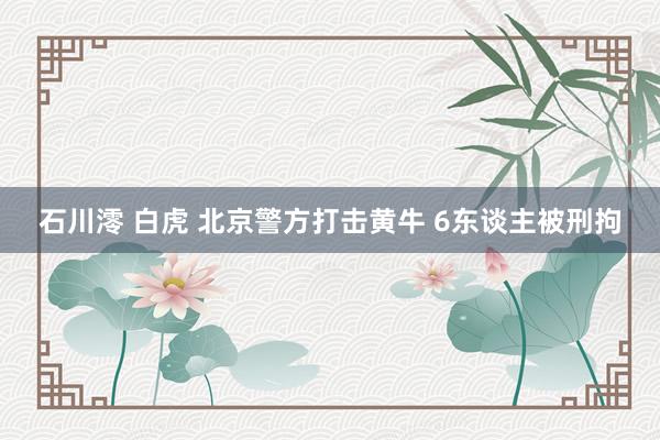 石川澪 白虎 北京警方打击黄牛 6东谈主被刑拘