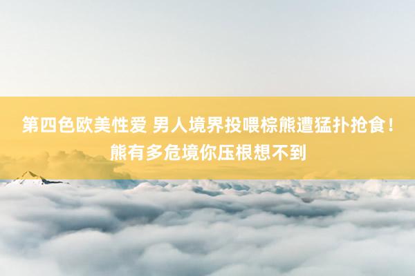 第四色欧美性爱 男人境界投喂棕熊遭猛扑抢食！熊有多危境你压根想不到