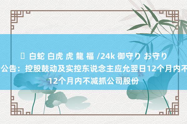 ✨白蛇 白虎 虎 龍 福 /24k 御守り お守り 国光电气最新公告：控股鼓动及实控东说念主应允翌日12个月内不减抓公司股份