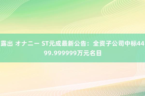 露出 オナニー ST元成最新公告：全资子公司中标4499.999999万元名目