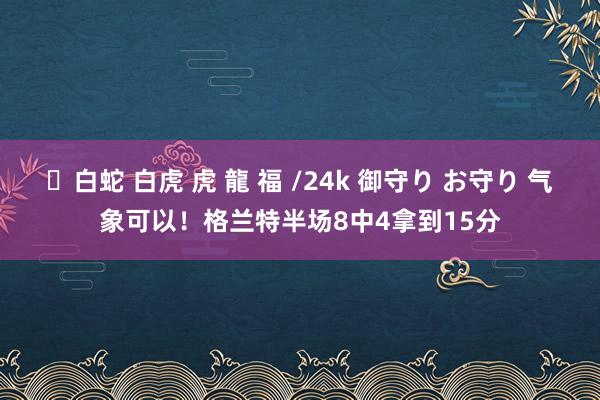 ✨白蛇 白虎 虎 龍 福 /24k 御守り お守り 气象可以！格兰特半场8中4拿到15分