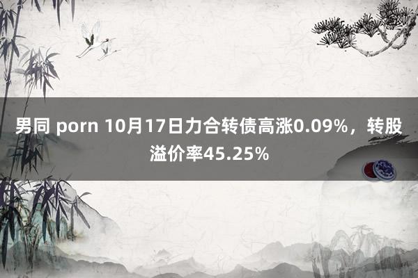 男同 porn 10月17日力合转债高涨0.09%，转股溢价率45.25%