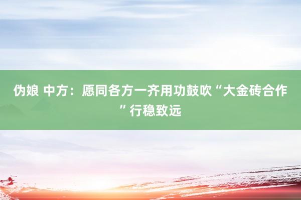 伪娘 中方：愿同各方一齐用功鼓吹“大金砖合作”行稳致远