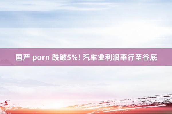 国产 porn 跌破5%! 汽车业利润率行至谷底