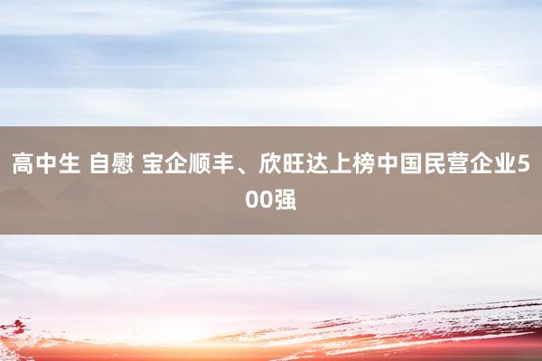 高中生 自慰 宝企顺丰、欣旺达上榜中国民营企业500强