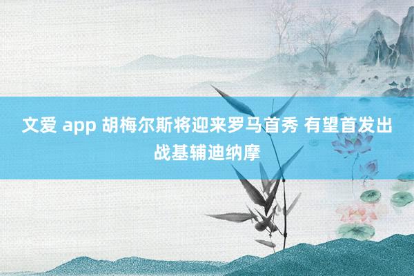 文爱 app 胡梅尔斯将迎来罗马首秀 有望首发出战基辅迪纳摩