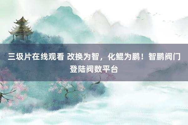 三圾片在线观看 改换为智，化鲲为鹏！智鹏阀门登陆阀数平台