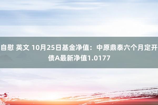 自慰 英文 10月25日基金净值：中原鼎泰六个月定开债A最新净值1.0177