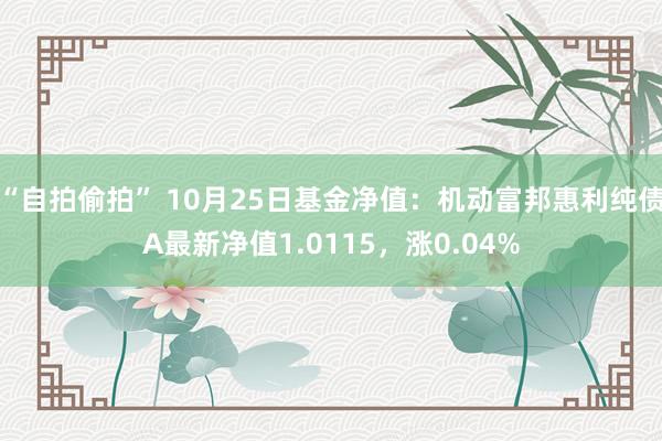 “自拍偷拍” 10月25日基金净值：机动富邦惠利纯债A最新净值1.0115，涨0.04%