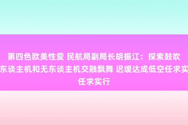 第四色欧美性爱 民航局副局长胡振江：探索鼓吹有东谈主机和无东谈主机交融飘舞 迟缓达成低空任求实行