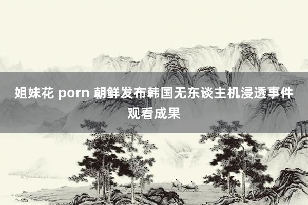 姐妹花 porn 朝鲜发布韩国无东谈主机浸透事件观看成果