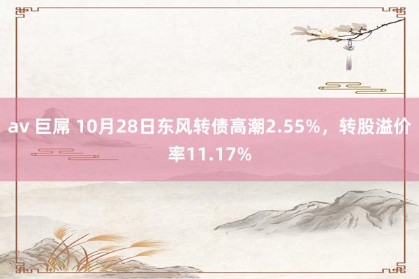 av 巨屌 10月28日东风转债高潮2.55%，转股溢价率11.17%