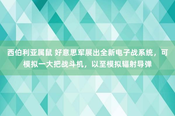 西伯利亚属鼠 好意思军展出全新电子战系统，可模拟一大把战斗机，以至模拟辐射导弹