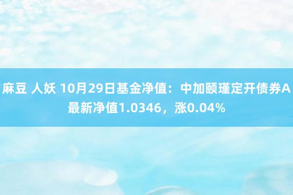 麻豆 人妖 10月29日基金净值：中加颐瑾定开债券A最新净值1.0346，涨0.04%