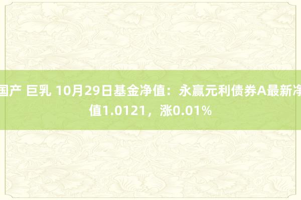 国产 巨乳 10月29日基金净值：永赢元利债券A最新净值1.0121，涨0.01%