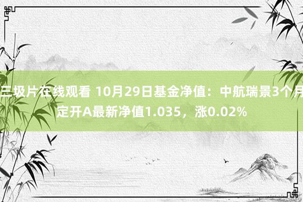 三圾片在线观看 10月29日基金净值：中航瑞景3个月定开A最新净值1.035，涨0.02%