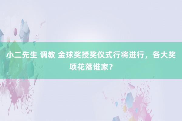 小二先生 调教 金球奖授奖仪式行将进行，各大奖项花落谁家？