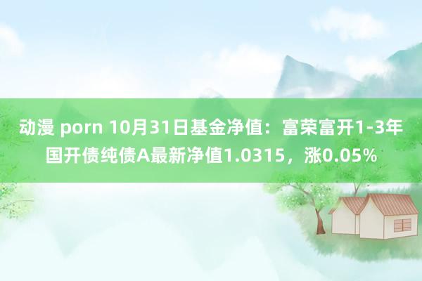 动漫 porn 10月31日基金净值：富荣富开1-3年国开债纯债A最新净值1.0315，涨0.05%