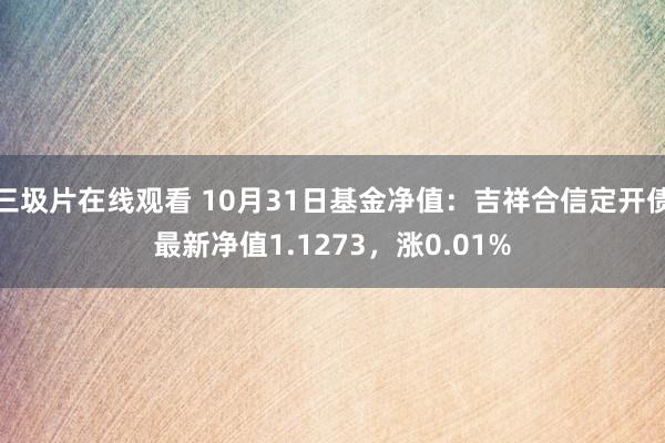 三圾片在线观看 10月31日基金净值：吉祥合信定开债最新净值1.1273，涨0.01%