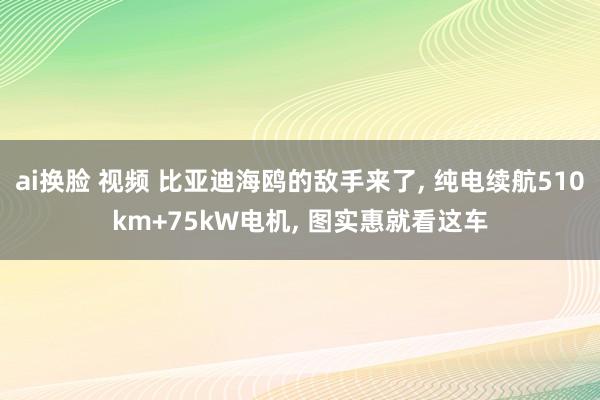 ai换脸 视频 比亚迪海鸥的敌手来了, 纯电续航510km+75kW电机, 图实惠就看这车