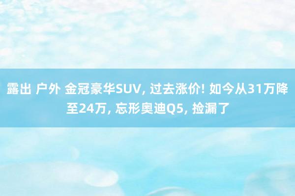 露出 户外 金冠豪华SUV, 过去涨价! 如今从31万降至24万, 忘形奥迪Q5, 捡漏了